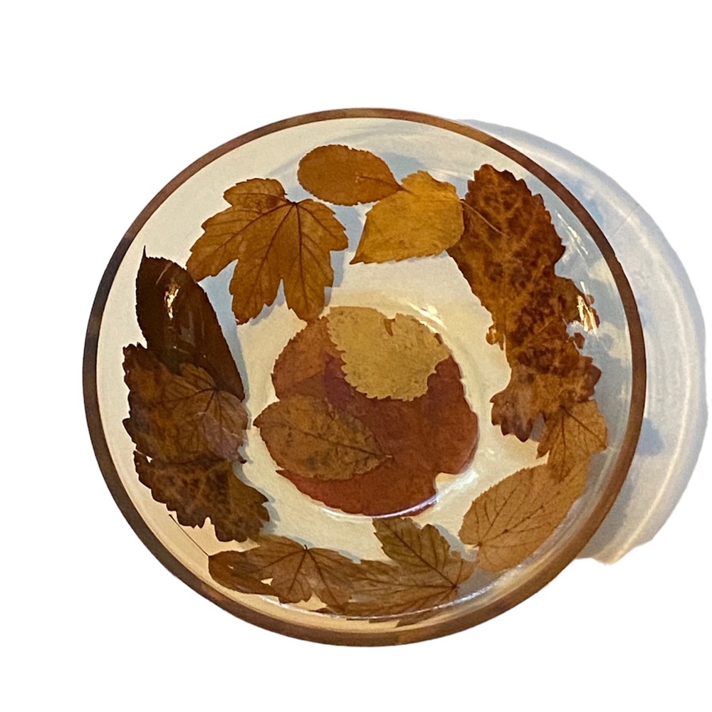 Vintage Resinplast clear Bowl Leaves Made in Italy Acrylic Resin* PRESSED LEAVES